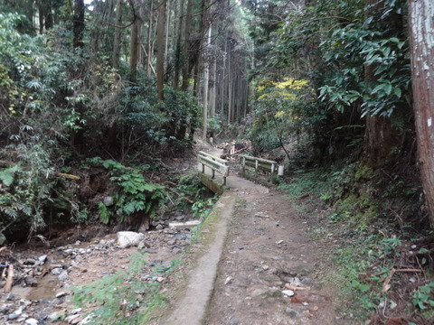 DSC01320