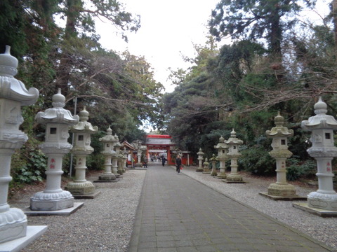 DSC08083