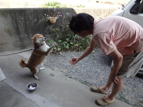 DSC07210