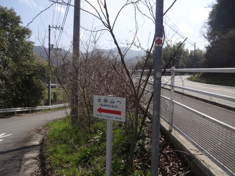 DSC04240