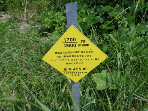 DSC08682