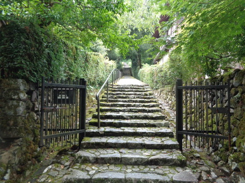 DSC01554