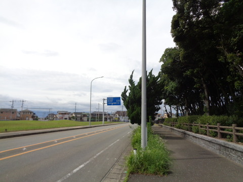 DSC00505