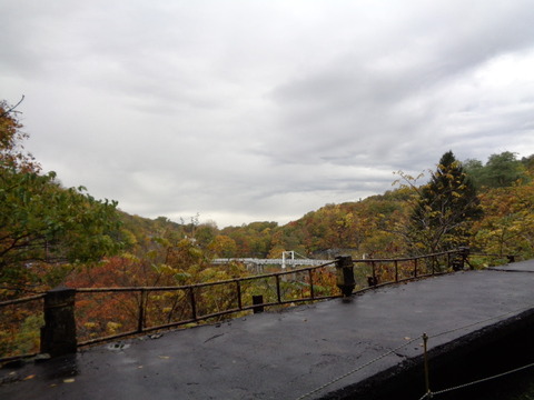 DSC03080