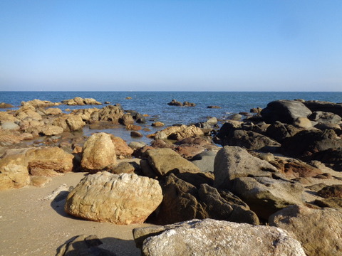 DSC00075