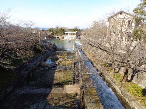 DSC03861