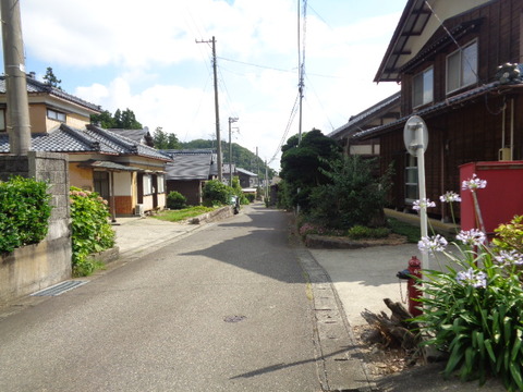 DSC08801