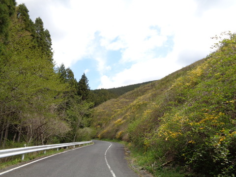 DSC09981