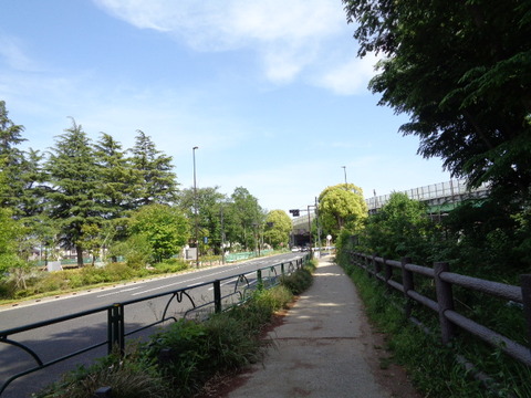DSC00359