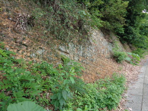 DSC00251
