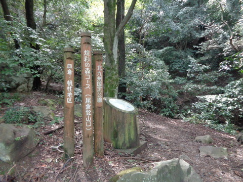DSC02161