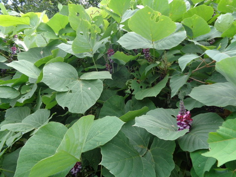 DSC02300