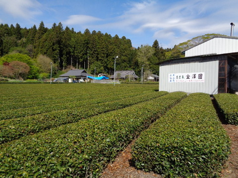 DSC09870
