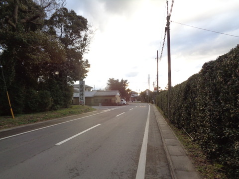 DSC08081