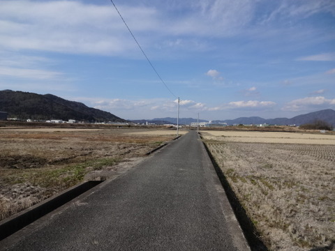 DSC04111