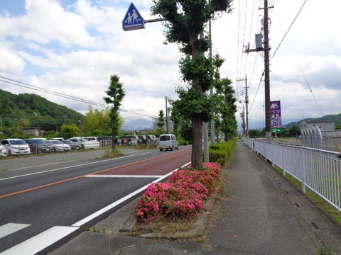 DSC02535