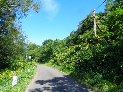 DSC04384