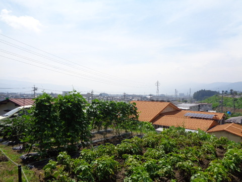 DSC00968