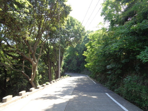 DSC09483
