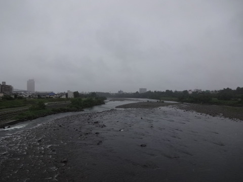 DSC08355