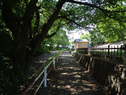 DSC09573