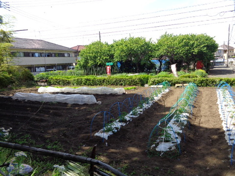 DSC00333
