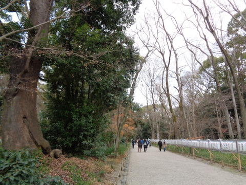 DSC03587