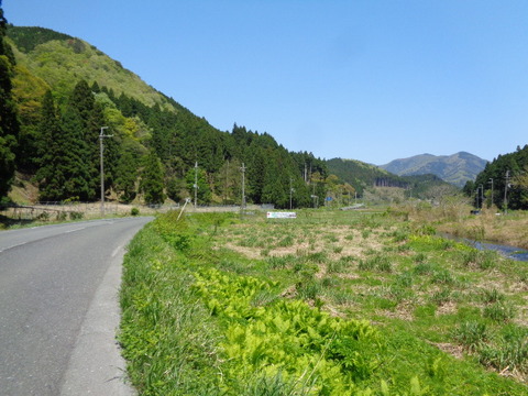 DSC03381