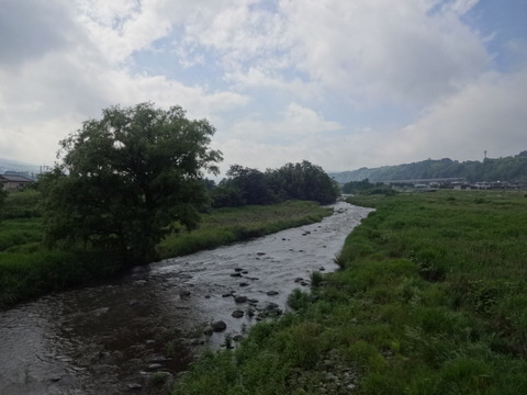DSC08798