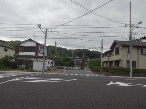DSC08088