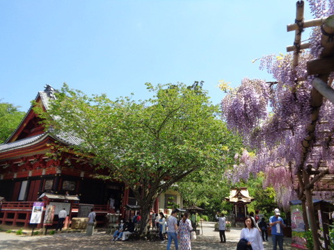DSC01785