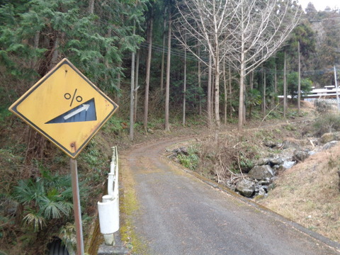 DSC09009