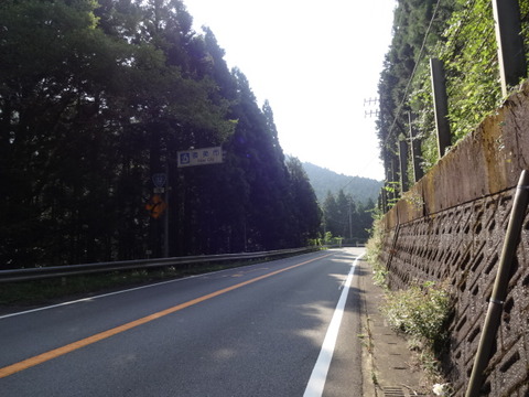 DSC07537