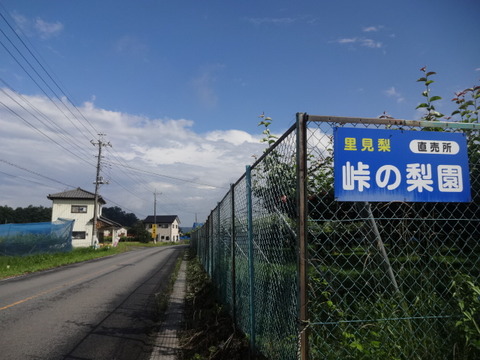 DSC08817