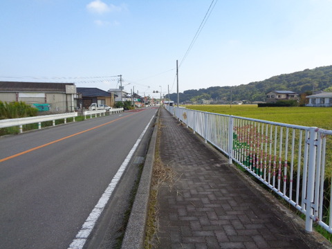 DSC09786
