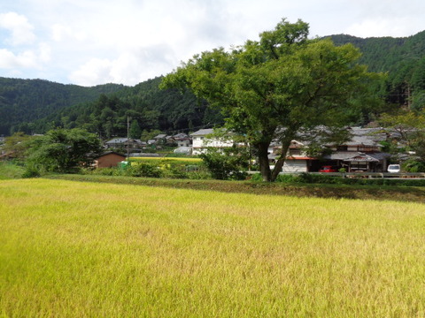 DSC01655