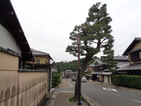 DSC00380