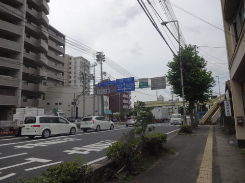 DSC07982