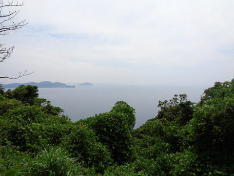DSC07130