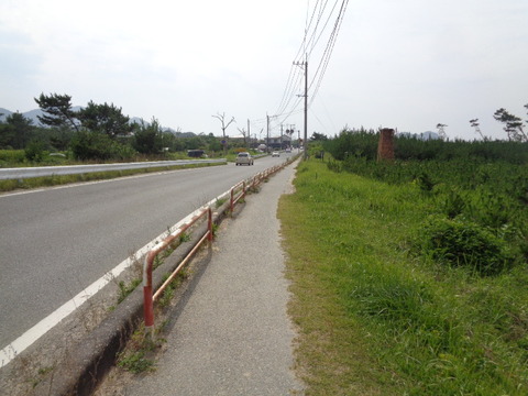 DSC07246