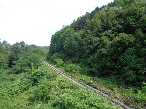 DSC04410