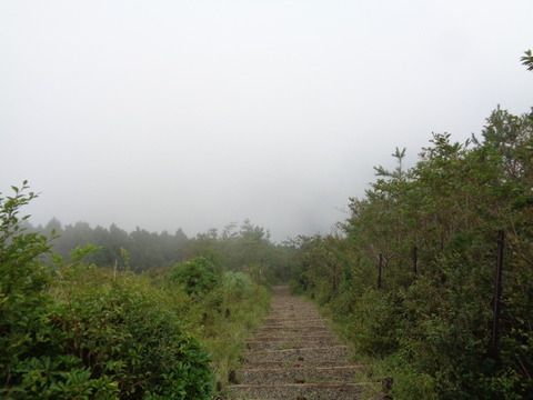 DSC05410