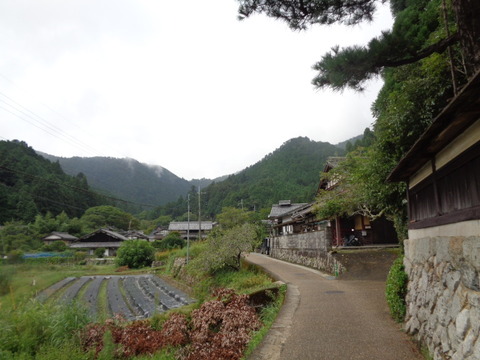 DSC01523
