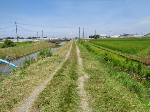 DSC08877