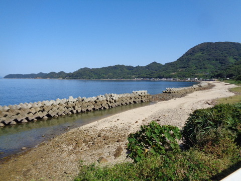 DSC09490