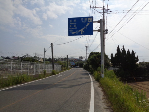 DSC07248