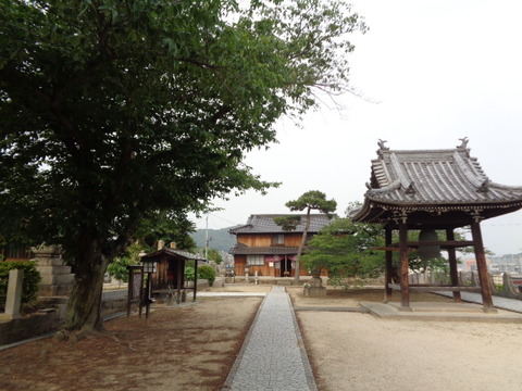 DSC09654