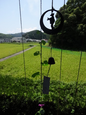 DSC07205