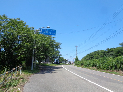 DSC08618