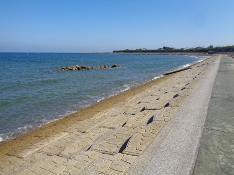 DSC09951